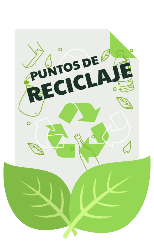 Florida Recicla