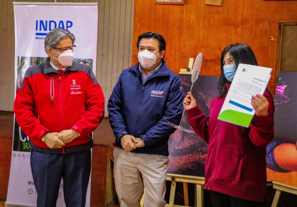 INDAP 2